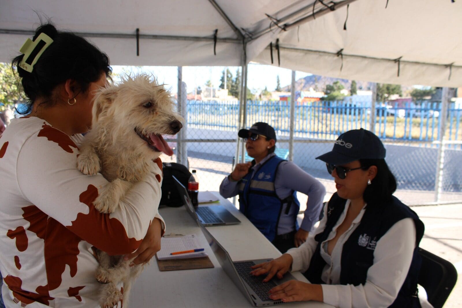 El Municipio de Chihuahua brindó más de 2 mil servicios gratuitos para mascotas durante una jornada masiva de protección animal.