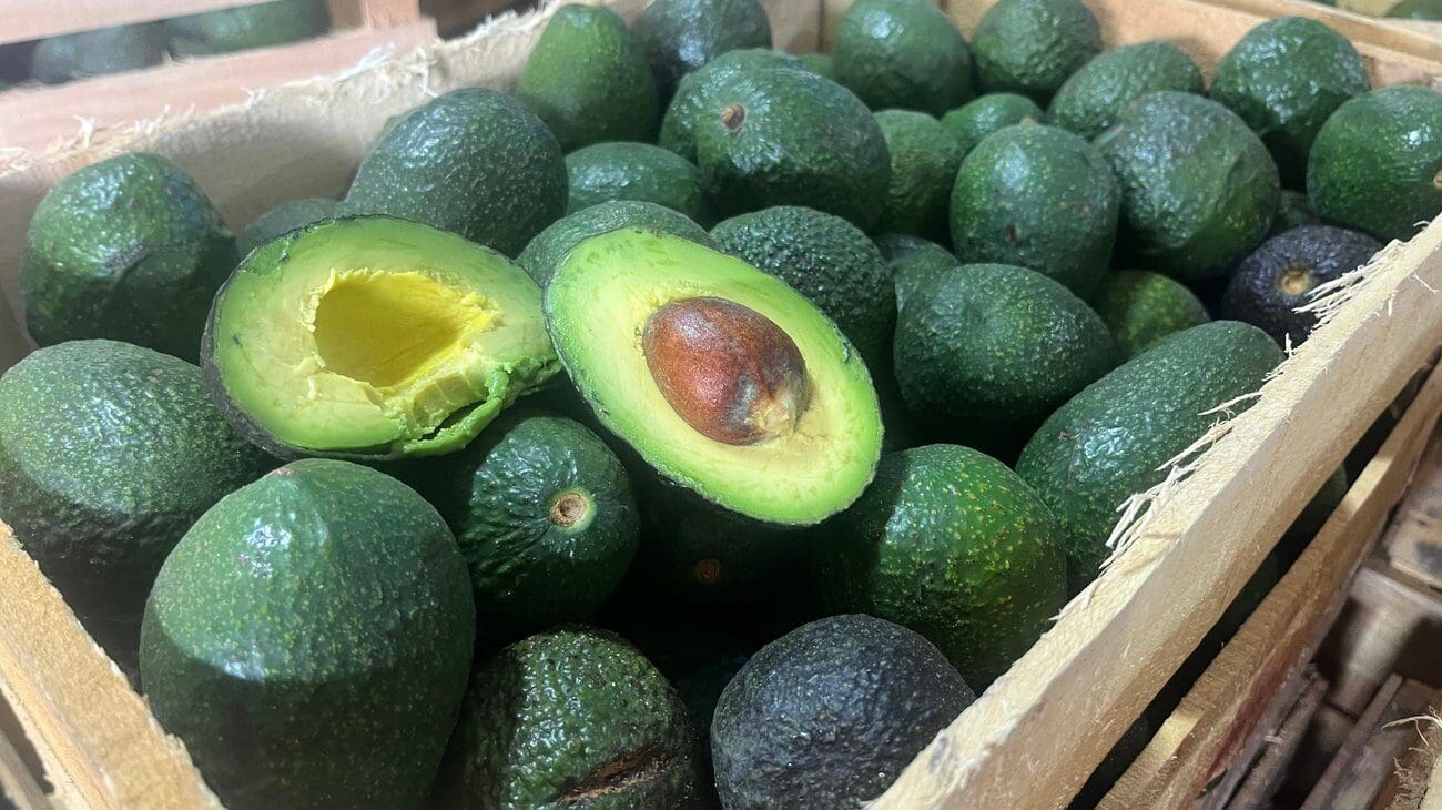 Claudia Sheinbaum informó que México solicitó una reunión con Estados Unidos para reactivar la exportación de aguacate desde Michoacán tras la suspensión de certificaciones.