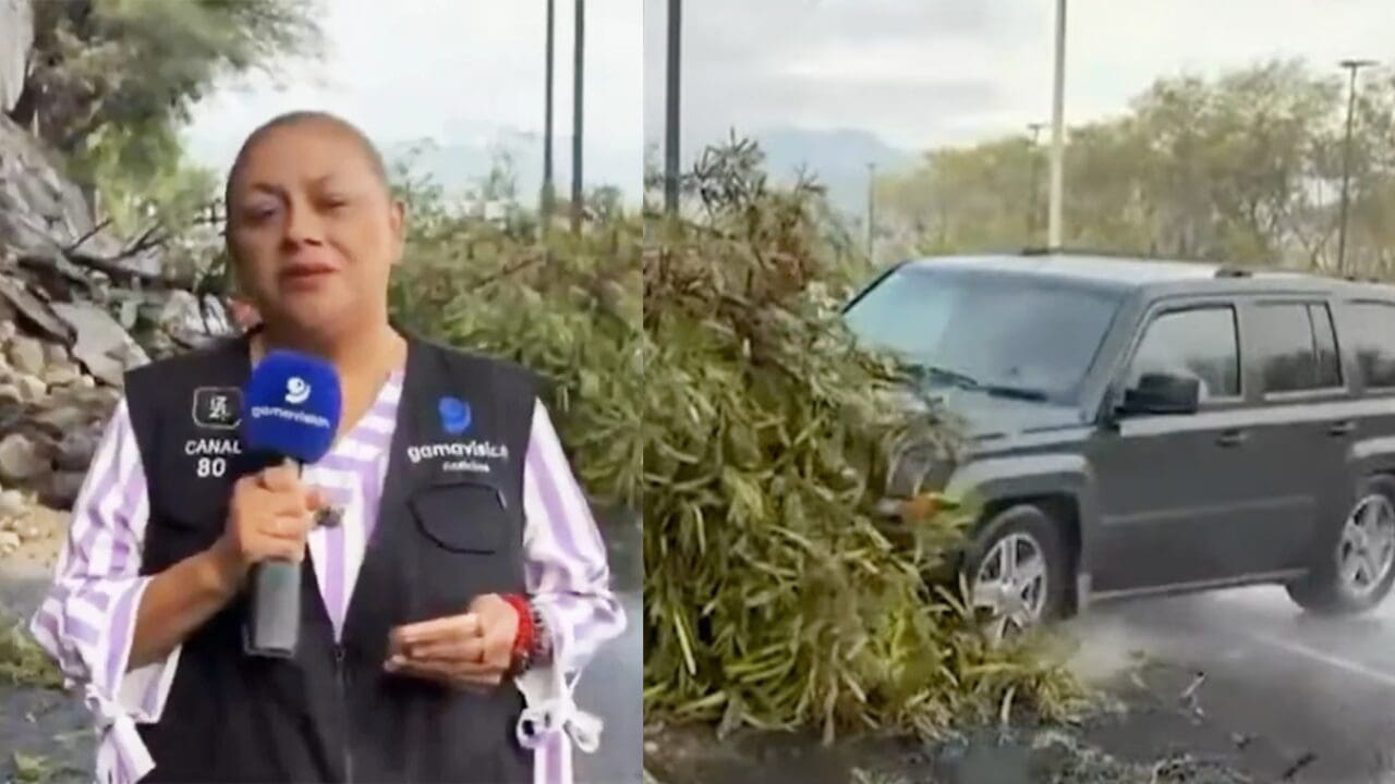 Reportera Alma de la Rosa y su camarógrafo fueron atropellados durante una transmisión en vivo en Monterrey; ambos fueron reportados estables.