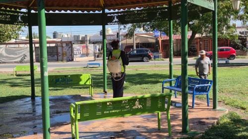 Fumigan parques y camellones diariamente para prevenir plagas