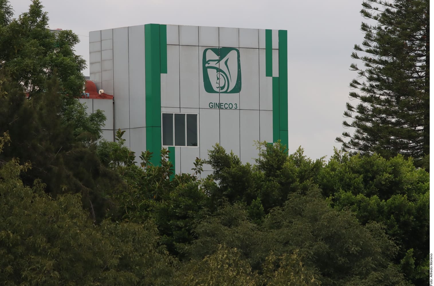 Prevén lluvia de amparos tras cambios en la Modalidad 40 del IMSS