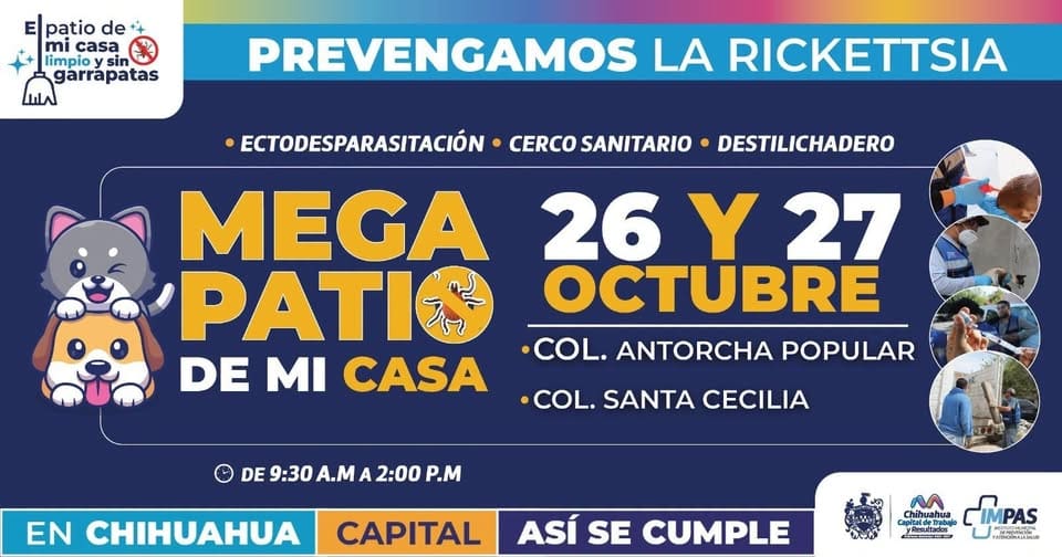 Llegan servicios gratuitos para mascotas con Mega Patio de Mi Casa